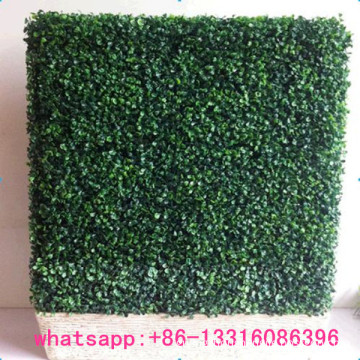SJBH-05 outdoor ornamental plants artificial grass fence new product 2014 artificial hedge
